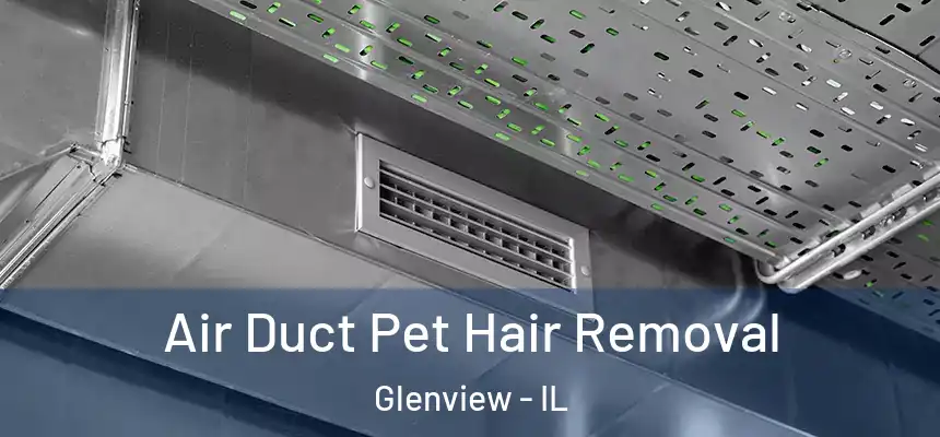 Air Duct Pet Hair Removal Glenview - IL