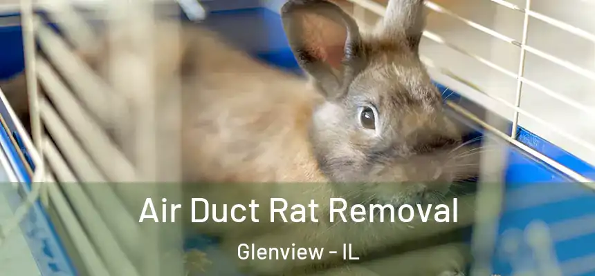 Air Duct Rat Removal Glenview - IL