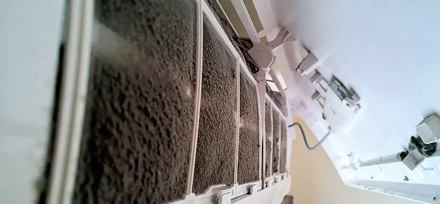 Preventive Air Duct Bacteria Removal in Glenview