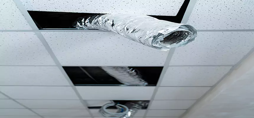 Affordable HVAC Sanitizing After Pest Removal in Glenview