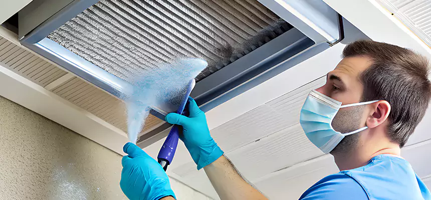 Proactive Dryer Vent & Auxiliary Duct Pollen Cleanup in Glenview, IL