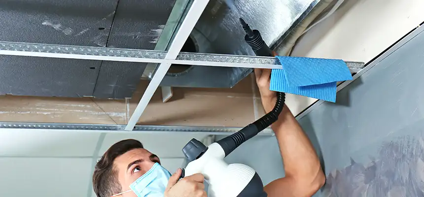 Our Air Duct Rodent Removal Services in Glenview, IL