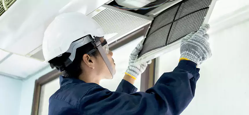 Our Mold & Mildew Removal from Air Ducts Services in Glenview, IL