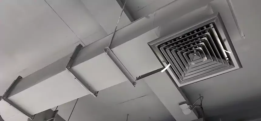 Our Pest Removal From Ducts Services in Glenview, IL