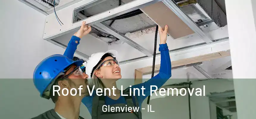  Roof Vent Lint Removal Glenview - IL
