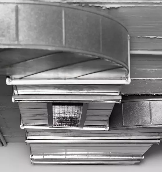 Professional Air Duct Pest Removal in Glenview, IL