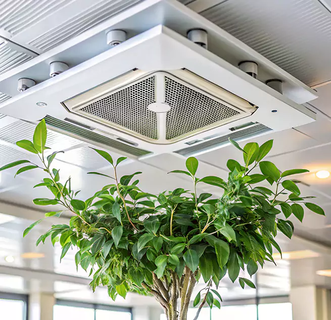 Why Homeowners & Businesses Trust Us in Glenview, IL?