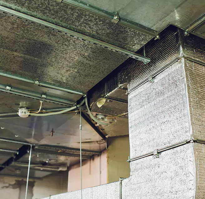 Why Homeowners & Businesses Trust Us in Glenview, IL?